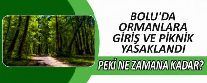 BOLU\'DA ORMANLARA G�R�� VE P�KN�K YASAKLANDI