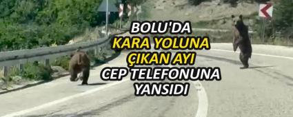 BOLU\'DA KARA YOLUNA �IKAN AYI CEP TELEFONUNA YANSIDI