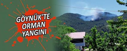 G�YN�K\'TE ORMAN YANGINI