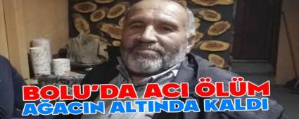 Bolu\'da �zerine a�a� d��en i��i hayat�n� kaybetti