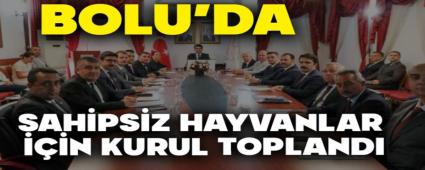 BOLU\'DA SAH�PS�Z HAYVANLAR ���N KURUL TOPLANDI