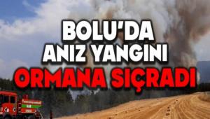 Bolu\'da an�z yang�n� ormana s��rad�