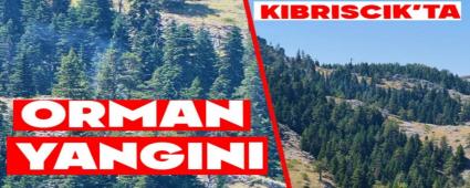 Bolu K�br�sc�k\'ta Yaylal�k alanda Orman Yang�n�