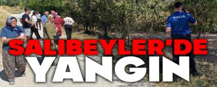 Bolu\'da evlerin aras�nda an�z yang�n�