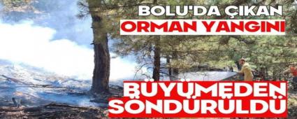 Bolu\'da ��kan orman yang�n� b�y�meden s�nd�r�ld�