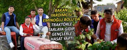 BAKAN YARDIMCISI EM�NO�LU BOLU\'DA TRAKT�RLE TARLAYA G�D�P, GEN�LERLE HASAT YAPTI