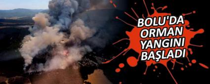 BOLU\'DA ORMAN YANGINI BA�LADI