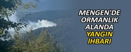 MENGEN\'DE ORMANLIK ALANDA YANGIN �HBARI