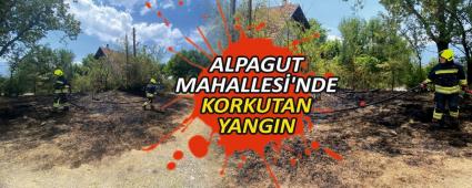 ALPAGUT MAHALLES�\'NDE KORKUTAN YANGIN
