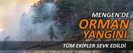 MENGEN\'DE ORMAN YANGINI, T�M EK�PLER SEVK ED�LD�