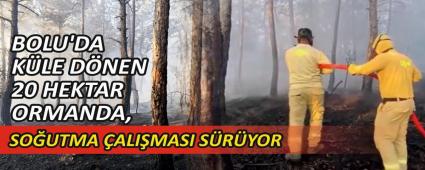 BOLU\'DA K�LE D�NEN 20 HEKTAR ORMANDA, SO�UTMA �ALI�MASI S�R�YOR