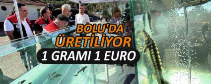 MERS�N BALI�I\'NIN S�YAH HAVYARI D�NYA PAZARINA �IKIYOR