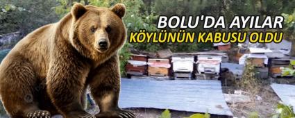 BOLU\'DA AYILAR K�YL�N�N KABUSU OLDU