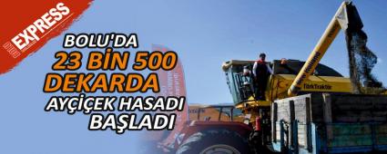 BOLU\'DA 23 B�N 500 DEKARDA AY���EK HASADI BA�LADI