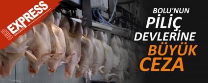 BOLU\'NUN P�L�� DEVLER�NE B�Y�K CEZA