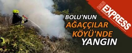 BOLU\'NUN A�A��ILAR K�Y�\'NDE YANGIN