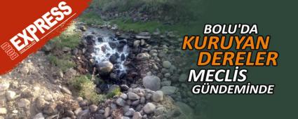 BOLU\'DA KURUYAN DERELER MECL�S G�NDEM�NDE