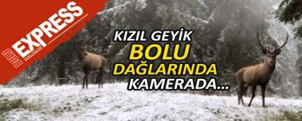 KIZIL GEY�K BOLU DA�LARINDA KAMERADA�