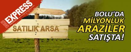 BOLU\'DA M�LYONLUK ARAZ�LER SATI�TA!