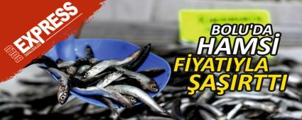 BOLU\'DA HAMS� F�YATIYLA �A�IRTTI