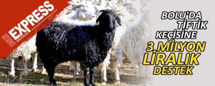 BOLU\'DA T�FT�K KE��S�NE 3 M�LYON L�RALIK DESTEK