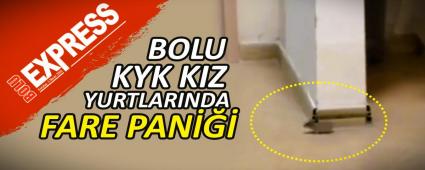 BOLU KYK KIZ YURTLARINDA FARE PAN���
