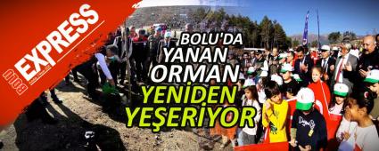 BOLU\'DA YANAN ORMAN YEN�DEN YE�ER�YOR