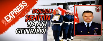 BOLULU �EH�T�N NAA�I GET�R�LD�