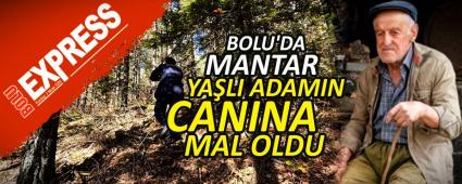 BOLU\'DA MANTAR YA�LI ADAMIN CANINA MAL OLDU