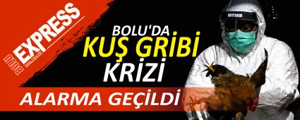 BOLU'DA KU� GR�B� KR�Z�, ALARMA GE��LD�