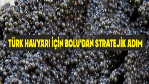 T�RK HAVYARI ���N BOLU\'DAN STRATEJ�K ADIM