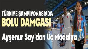 AY�ENUR SAY\'DAN TAR�H� BA�ARI: BOLU PALETL� Y�ZMEDE T�RK�YE Z�RVES�NDE