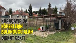 KARA�AYIR\'DA K�PEKLER�N BULUNDU�U ALAN D�KKAT �EKT�