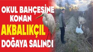 OKUL BAH�ES�NE KONAN AKBALIK�IL DO�AYA SALINDI
