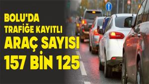 BOLU\'DA KA� ARA� VAR?