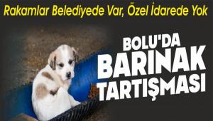 BOLU\'DA BARINAK TARTI�MASI