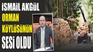 �SMA�L AKG�L ORMAN K�YL�S�N�N SES� OLDU